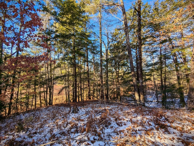 00 Jim Grant Rd, Lebanon, ME 04027