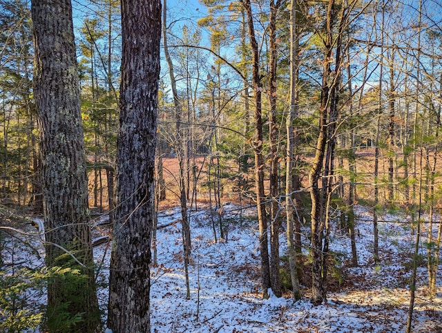 00 Jim Grant Rd, Lebanon, ME 04027
