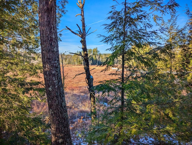 00 Jim Grant Rd, Lebanon, ME 04027