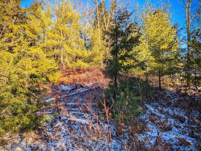 00 Jim Grant Rd, Lebanon, ME 04027