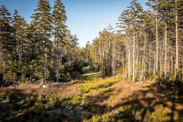 LOT5 Waymouth Rd, Saint George, ME 04860