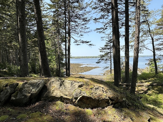 LOT5 Waymouth Rd, Saint George, ME 04860