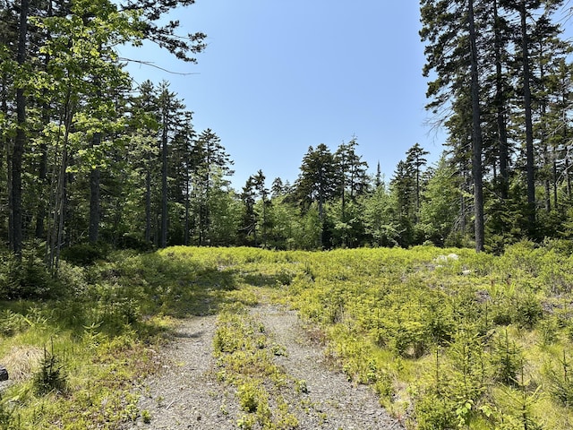 LOT5 Waymouth Rd, Saint George, ME 04860