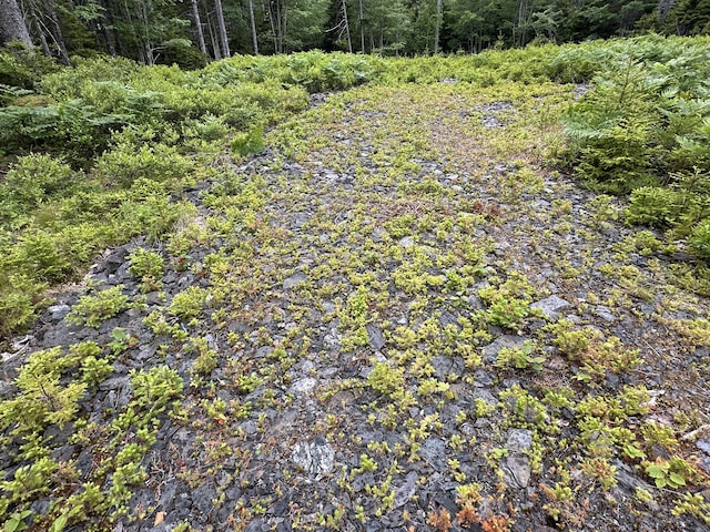 LOT5 Waymouth Rd, Saint George, ME 04860 - photo 35