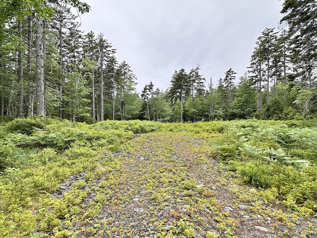 LOT5 Waymouth Rd, Saint George, ME 04860 - photo 39