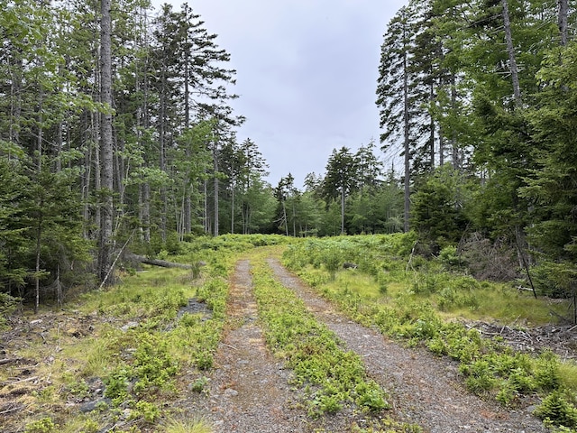 LOT5 Waymouth Rd, Saint George, ME 04860 - photo 34
