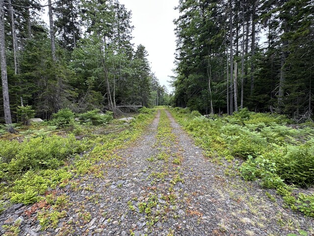LOT5 Waymouth Rd, Saint George, ME 04860 - photo 36