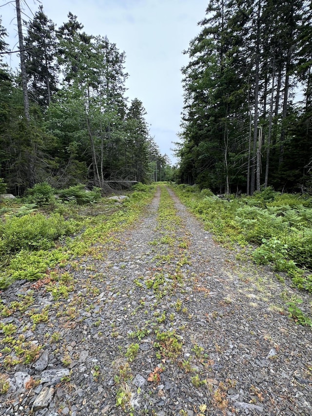 LOT5 Waymouth Rd, Saint George, ME 04860 - photo 38
