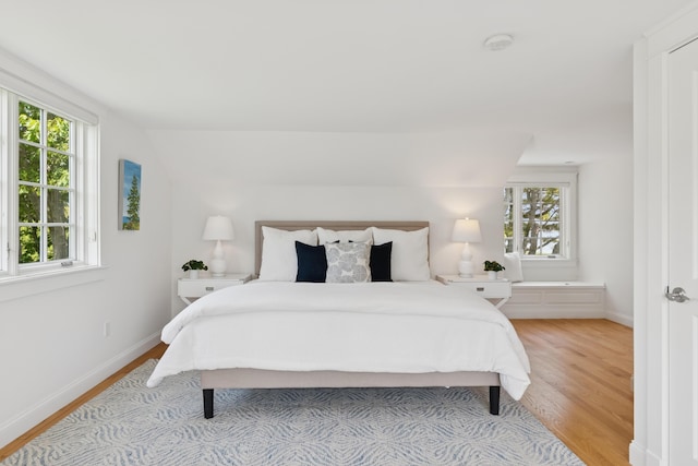 22 Channel Cove Ln, Biddeford, ME 04005 - bedroom with light wood finished floors and multiple windows