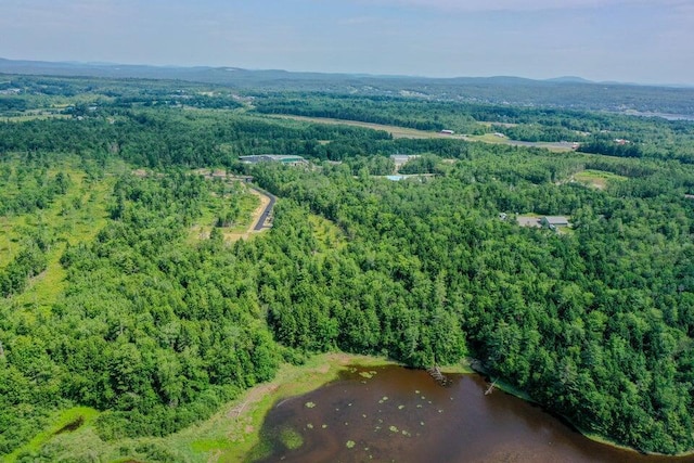 5 Whitetail St, Belfast, ME 04915 - aerial view of property's location featuring a forest and a large body of water