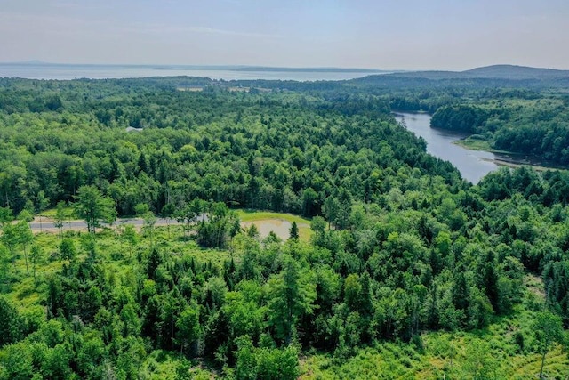 5 Whitetail St, Belfast, ME 04915 - aerial view of a forest and a large body of water