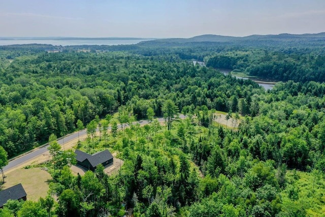 5 Whitetail St, Belfast, ME 04915 - aerial view of a forest