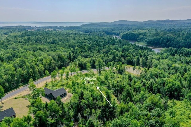 5 Whitetail St, Belfast, ME 04915 - drone / aerial view of a forest