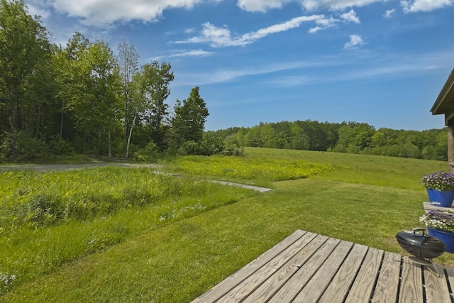 1535 Bailey Rd, Knox, ME 04986 - view of green lawn featuring a view of trees