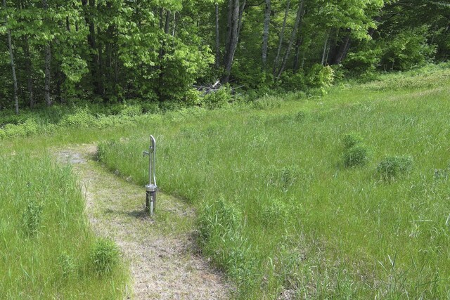 1535 Bailey Rd, Knox, ME 04986 - view of undeveloped land