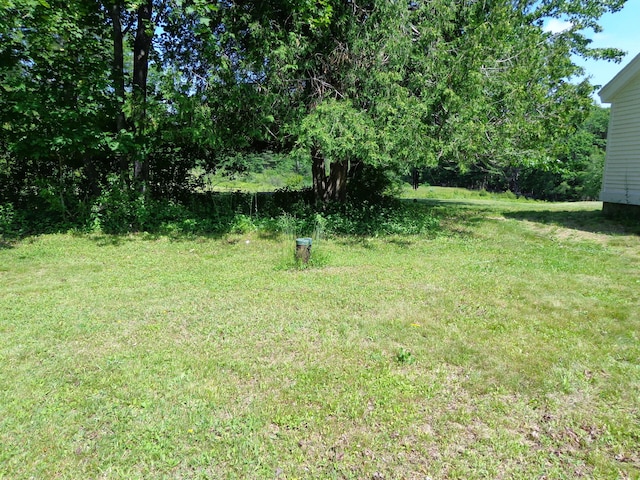 1089 Maplewood Rd, Newfield, ME 04095 - view of grassy yard