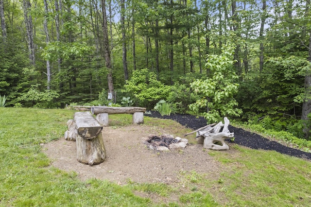 47 Double M Ln, Woolwich, ME 04579 - view of yard with a fire pit and a forest view