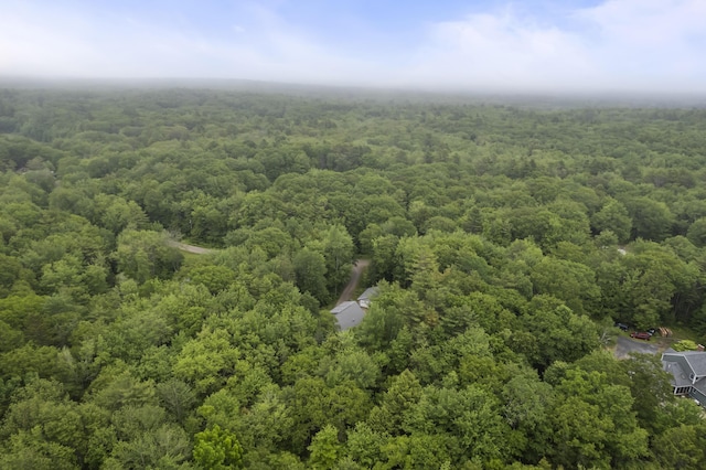 47 Double M Ln, Woolwich, ME 04579 - bird's eye view of a forest
