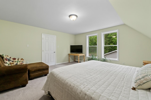 47 Double M Ln, Woolwich, ME 04579 - carpeted bedroom with baseboard heating and vaulted ceiling