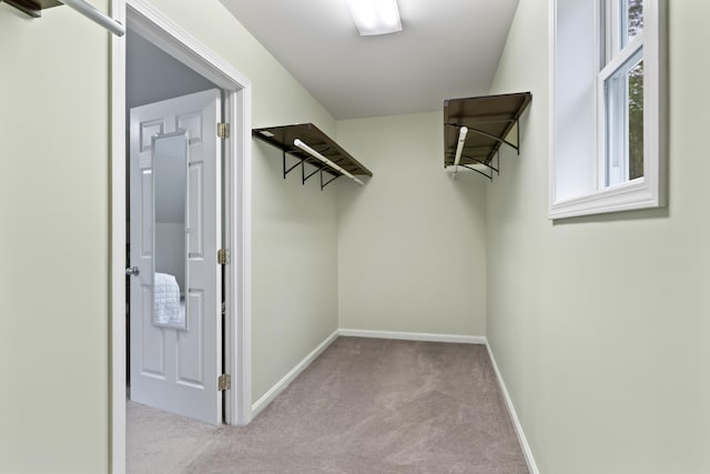 47 Double M Ln, Woolwich, ME 04579 - walk in closet featuring carpet flooring