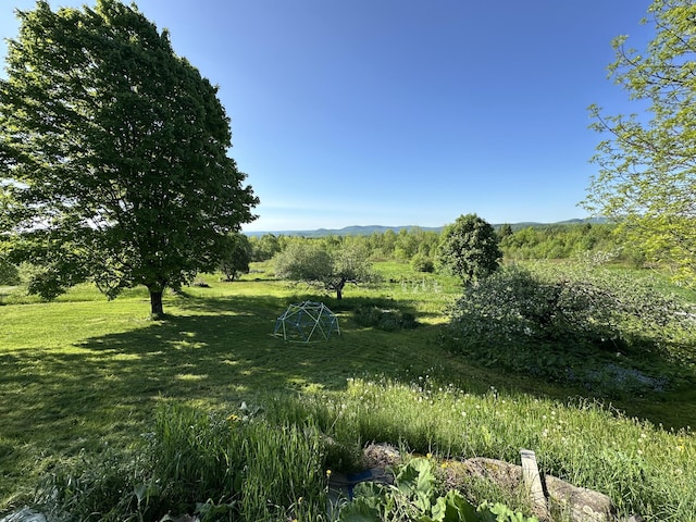 396 Smyrna Town Line Rd, Smyrna, ME 04780 - view of yard