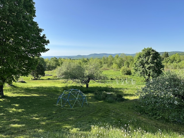 396 Smyrna Town Line Rd, Smyrna, ME 04780 - view of green lawn with a mountain view