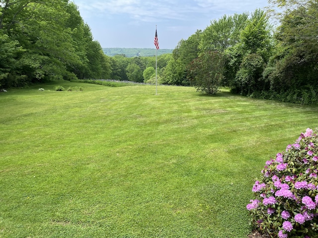 241 Bristol Rd, Damariscotta, ME 04543 - view of grassy yard featuring a wooded view