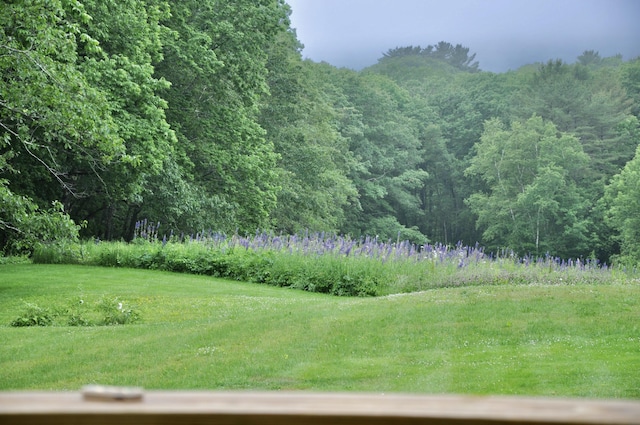 241 Bristol Rd, Damariscotta, ME 04543 - view of yard featuring a wooded view