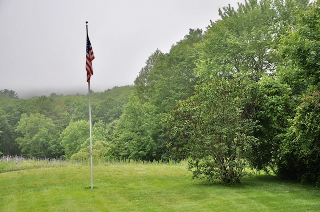 241 Bristol Rd, Damariscotta, ME 04543 - view of yard with a view of trees