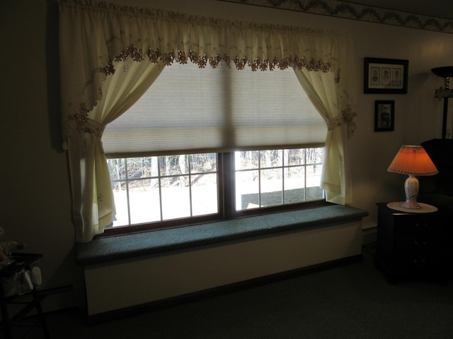 242 Newport Rd, Corinna, ME 04928 - sitting room featuring plenty of natural light