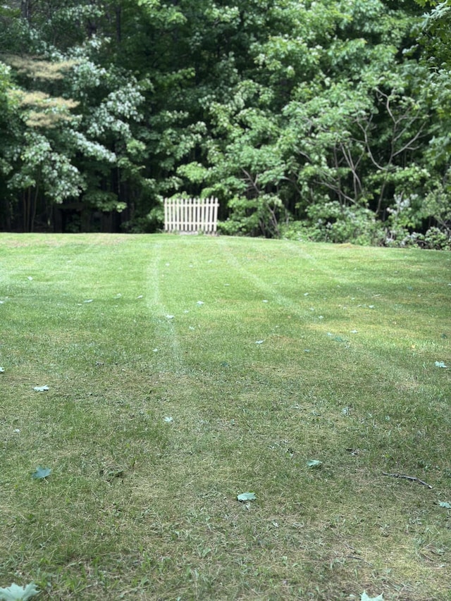 242 Newport Rd, Corinna, ME 04928 - view of green lawn