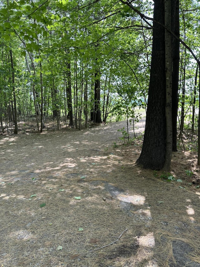 242 Newport Rd, Corinna, ME 04928 - view of nature