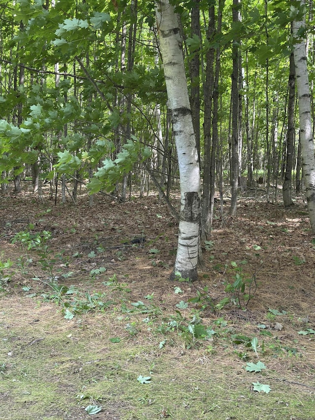 242 Newport Rd, Corinna, ME 04928 - view of undeveloped land