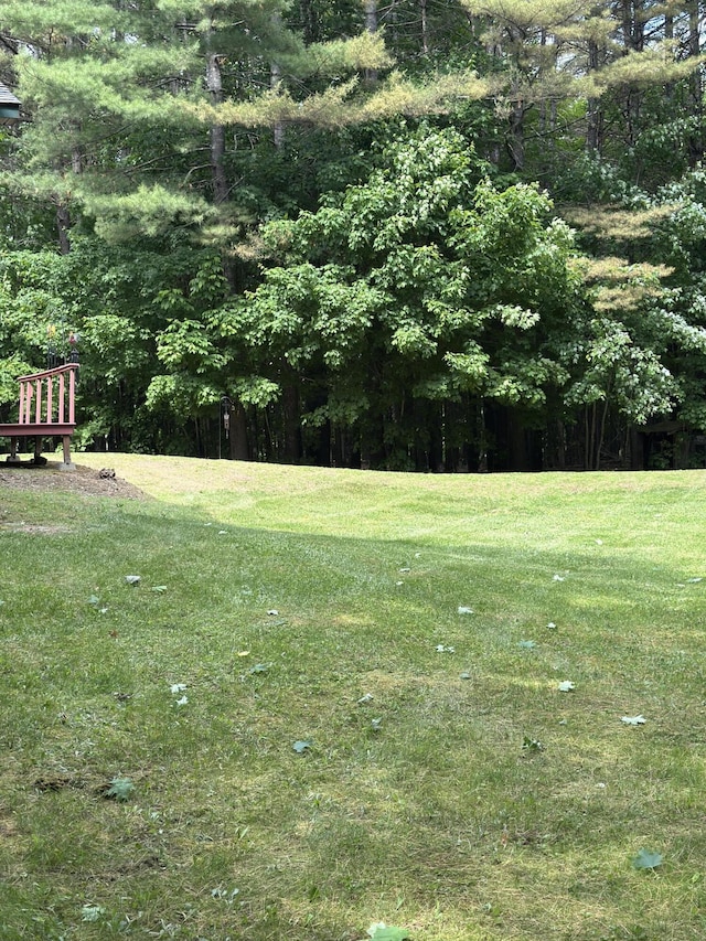 242 Newport Rd, Corinna, ME 04928 - view of grassy yard featuring a forest view