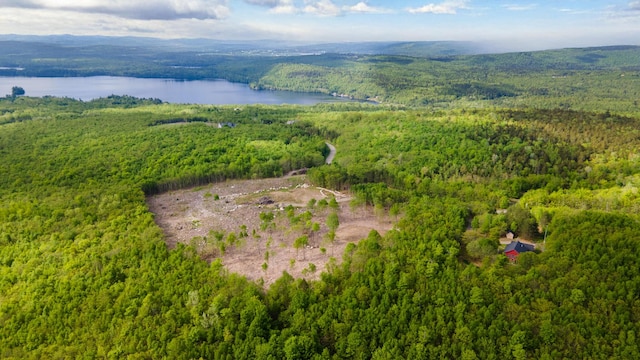 LOT21 Grand View Dr, Dedham, ME 04429