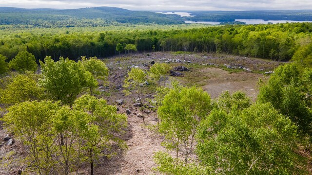 LOT21 Grand View Dr, Dedham, ME 04429