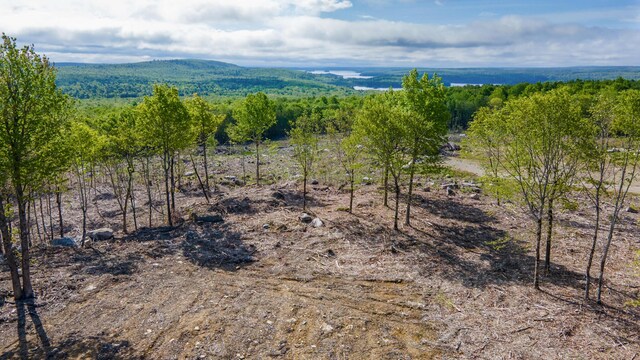 LOT21 Grand View Dr, Dedham, ME 04429