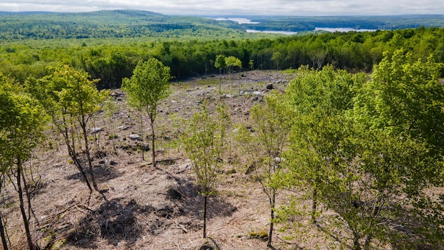 LOT21 Grand View Dr, Dedham, ME 04429