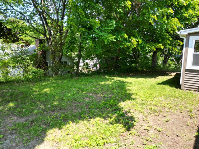25 Ariel St, Lincoln, ME 04457 - view of green lawn