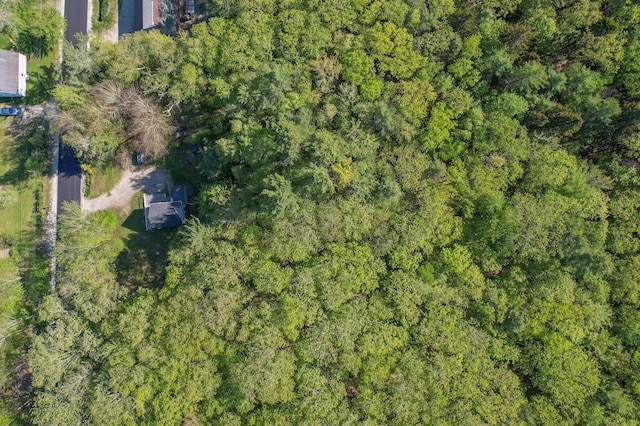107 N Sedgwick Rd, Sedgwick, ME 04676