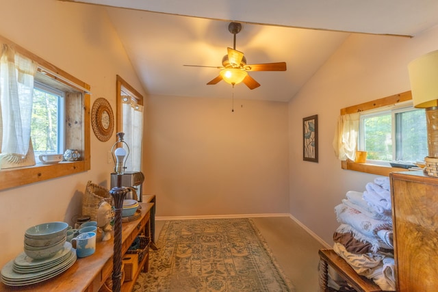 107 N Sedgwick Rd, Sedgwick, ME 04676