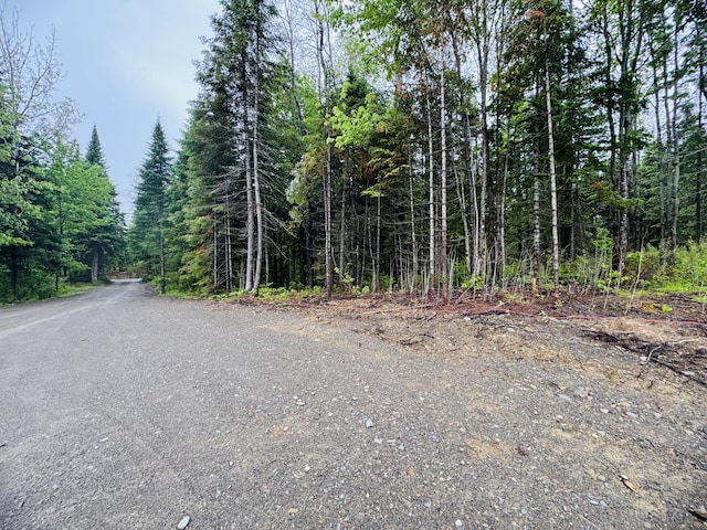 247 Haney Rd, Connor Twp, ME 04736 - view of asphalt street with a forest view