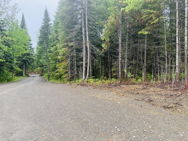 247 Haney Rd, Connor Twp, ME 04736 - view of asphalt road featuring a wooded view