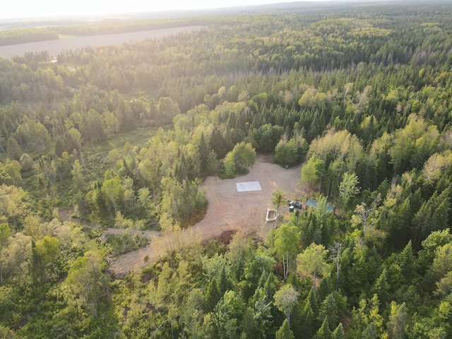 247 Haney Rd, Connor Twp, ME 04736 - aerial view of property's location with a forest