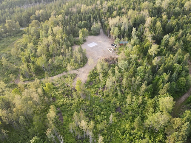 247 Haney Rd, Connor Twp, ME 04736 - drone / aerial view of a heavily wooded area