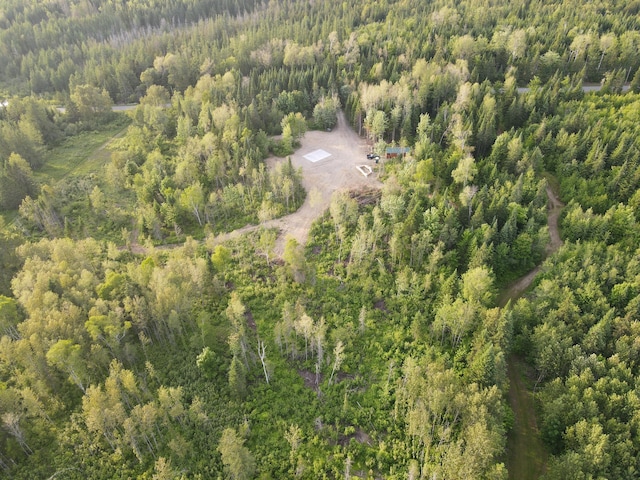 247 Haney Rd, Connor Twp, ME 04736 - bird's eye view of a forest
