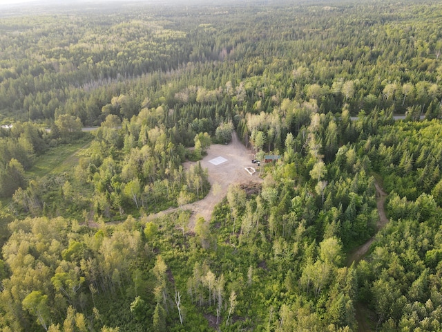 247 Haney Rd, Connor Twp, ME 04736 - aerial view of a forest