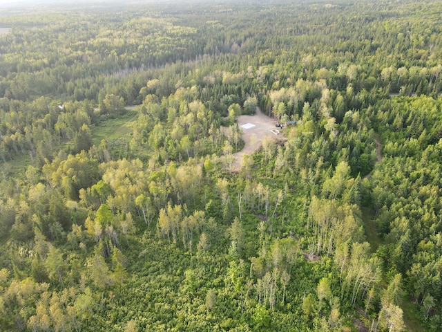 247 Haney Rd, Connor Twp, ME 04736 - drone / aerial view of a heavily wooded area