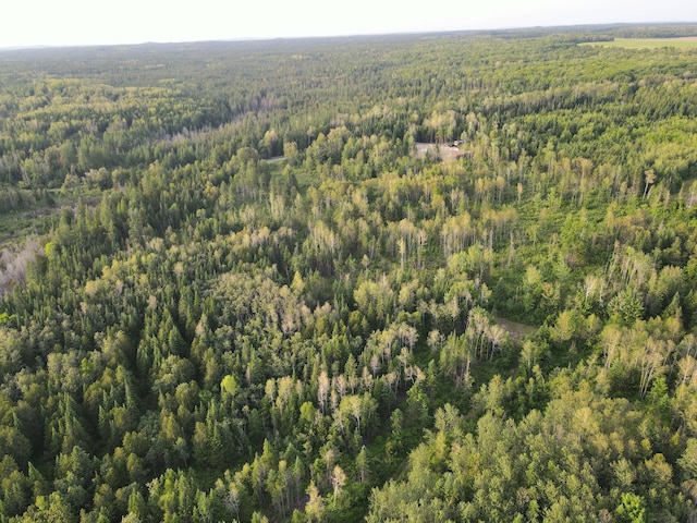 247 Haney Rd, Connor Twp, ME 04736 - bird's eye view of a forest