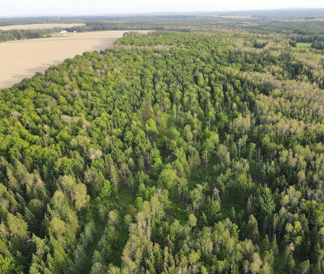 247 Haney Rd, Connor Twp, ME 04736 - aerial view of a heavily wooded area